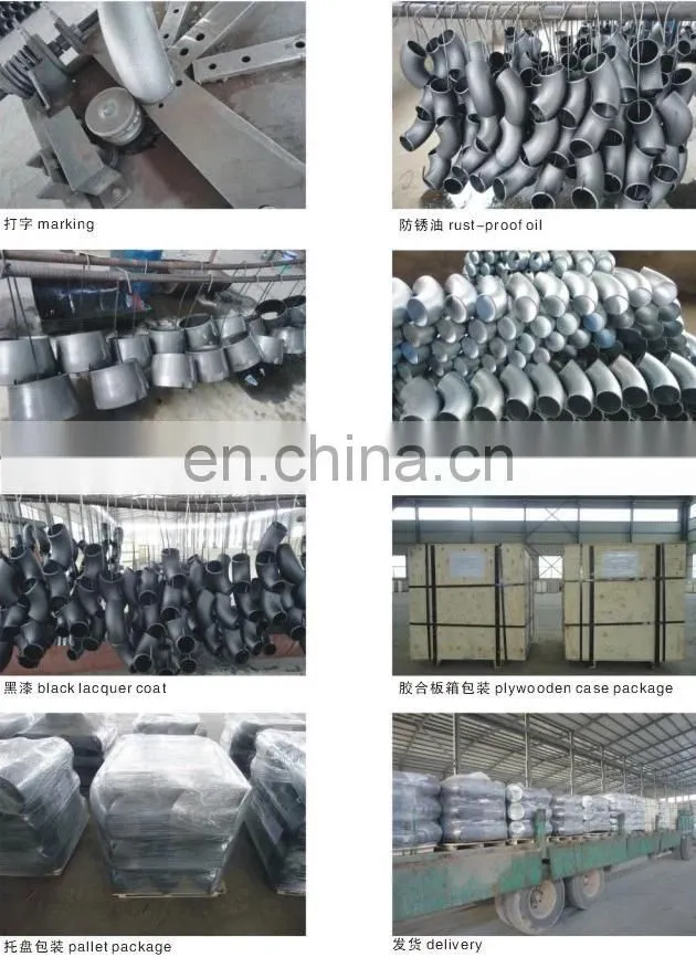 DIN SMS ISO BPE Stainless Steel SS304 SS316L 90 Degree Elbow Pipe Bend Tube Angle Head Joint Elbow