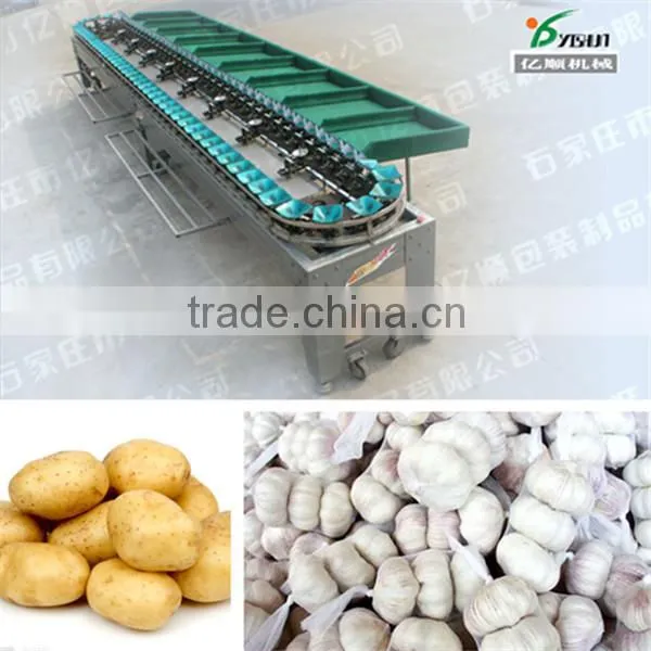 Avocado fruit sorting machine