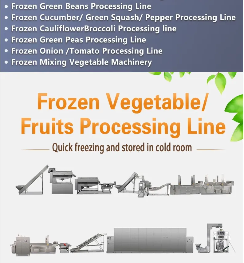 Shanghai IQF Quick Freeze System for Fresh Fruits & Vegetables Instant Frozen Vegetable Machine