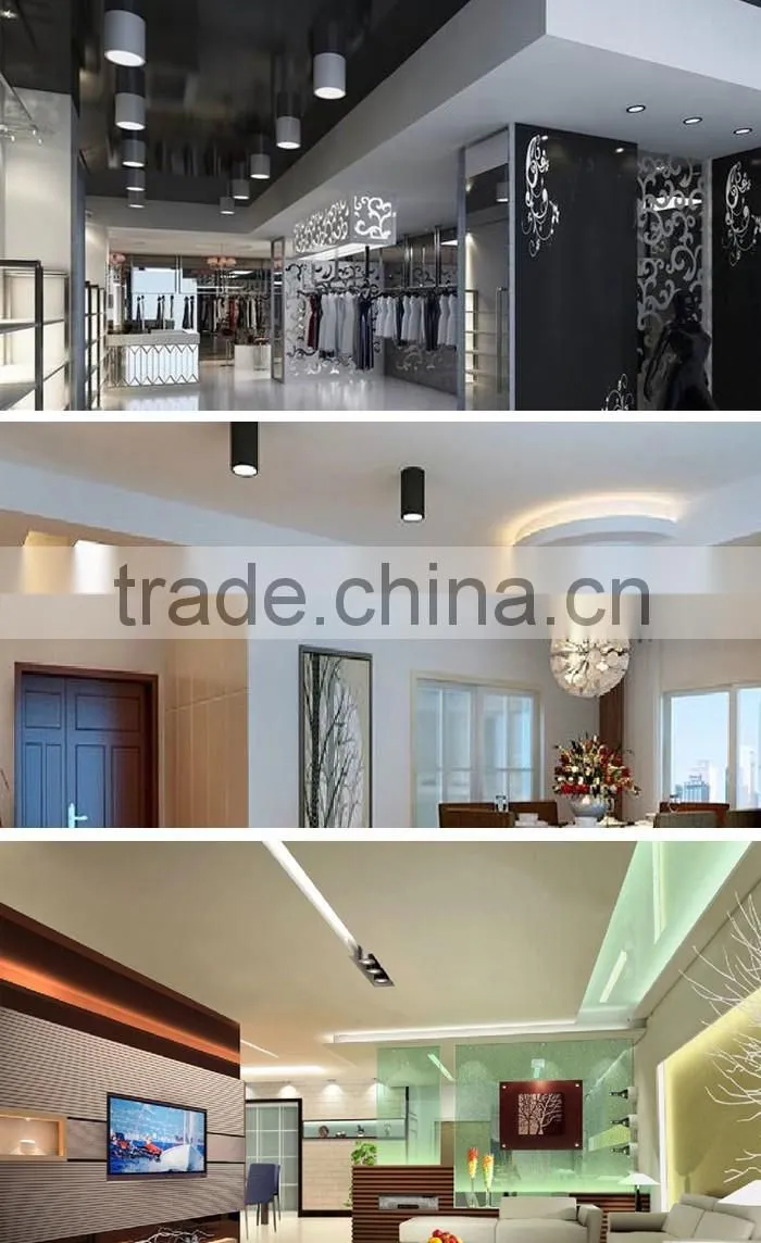 High Quality IP44 Indoor Using CREE Chips Lifud Driver Surface Mount Adjustable 20W 30W COB LED Round Downlight