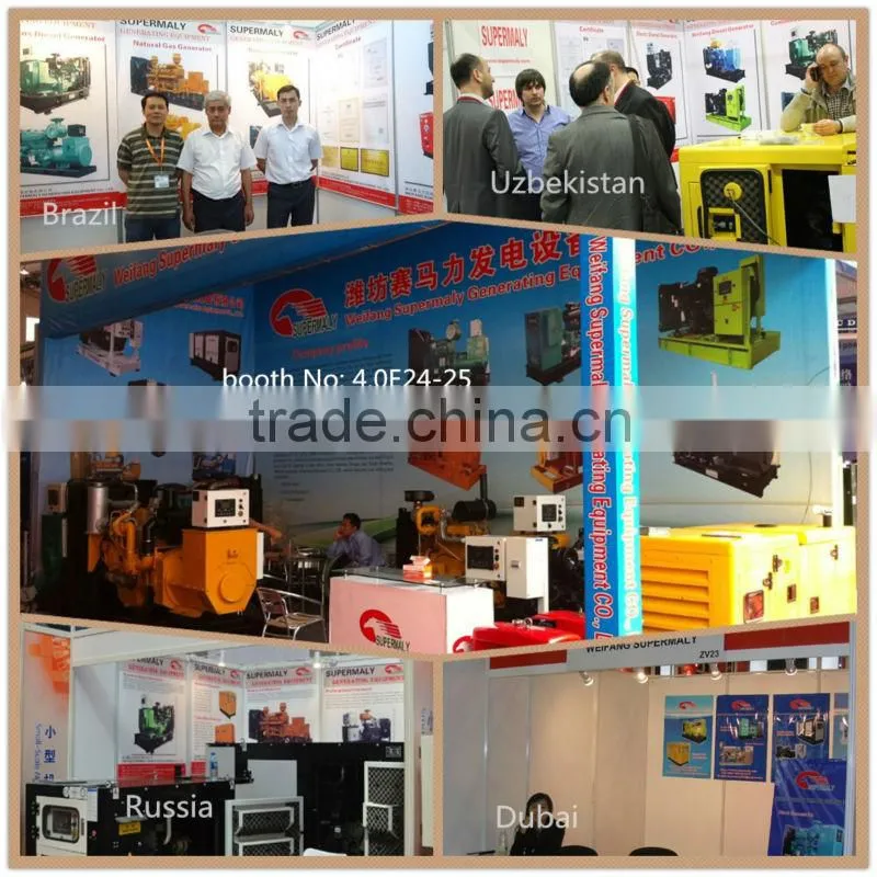 Excellent quality Natural gas gensets 25kva-625kva in supermaly