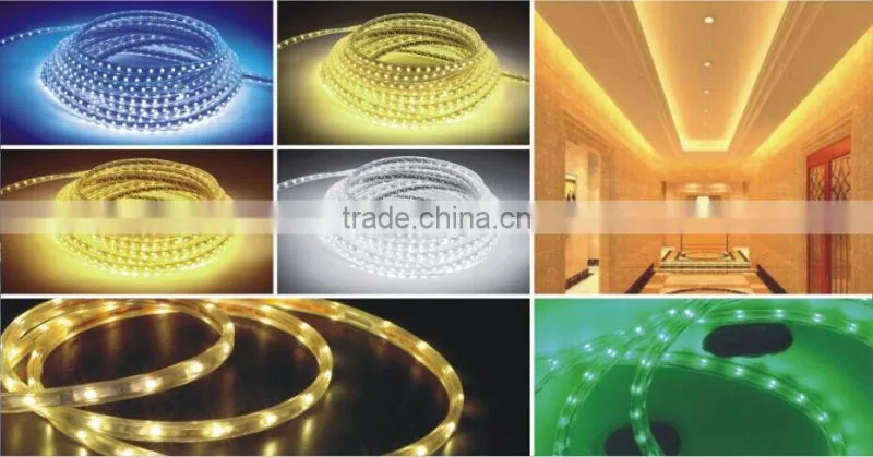 festalight UL CE RoHS certified SMD5050 chips warm white RGB flexible led strip light 220V 60 led per meter DC12V SMD3528