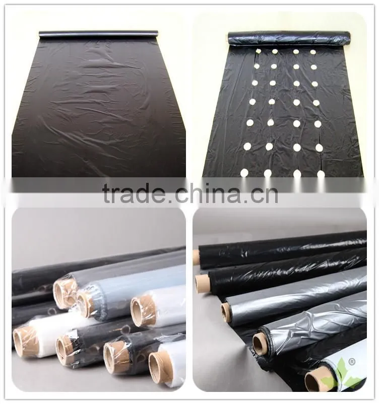 PE Plastic Black-Silver plastic Mulch Film Punch Hole /agricultural mulch film/biodegradable mulch film