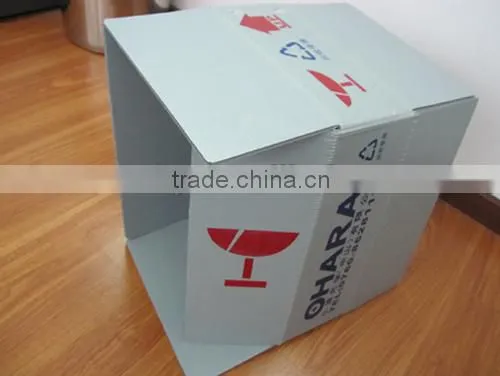 Collapsible corrugated plastic storage box