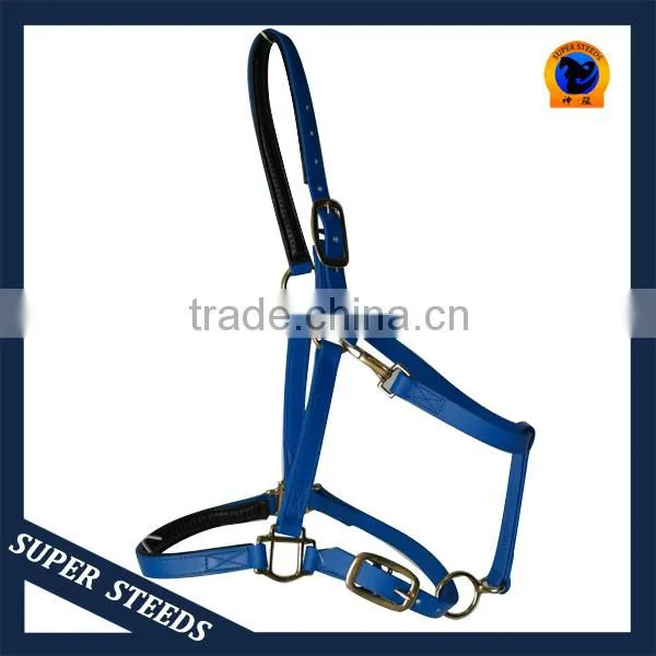 Horse Briddle with raised browband