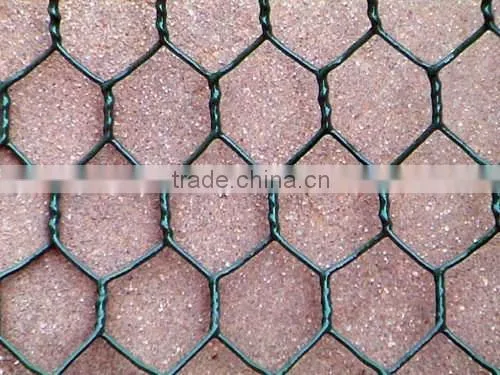 25mm x 1.2m x 25m Gi Hexagonal Wire Mesh For Dubai Market/Chicken wire mesh rolls