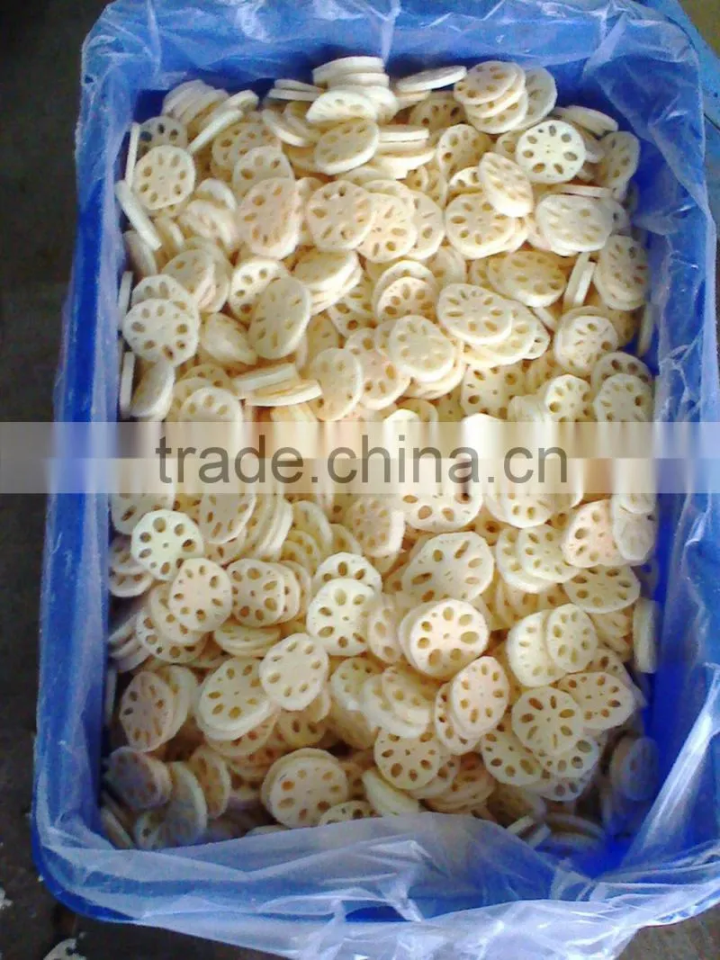 FROZEN LOTUS ROOT WITH BEST PRICE AND GOOD QUALITY