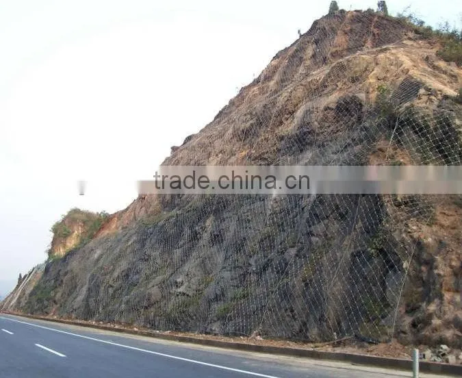 safety netting system protecting mesh