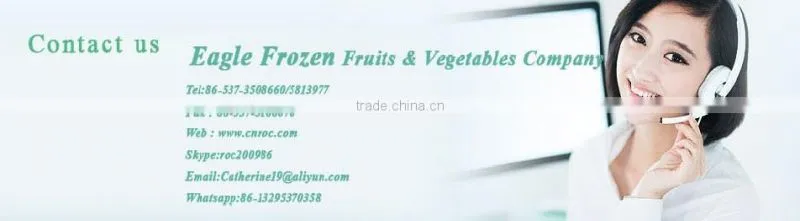 IQF Frozen Sweet Corn Whole Kernels