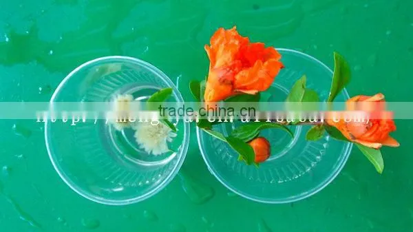 6oz disposable plastic beverage cup