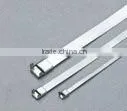 Supply chinl brand pvc coated stainless steel cable tie,304,ladder type,4.6*500 series(ISO9001 UL)
