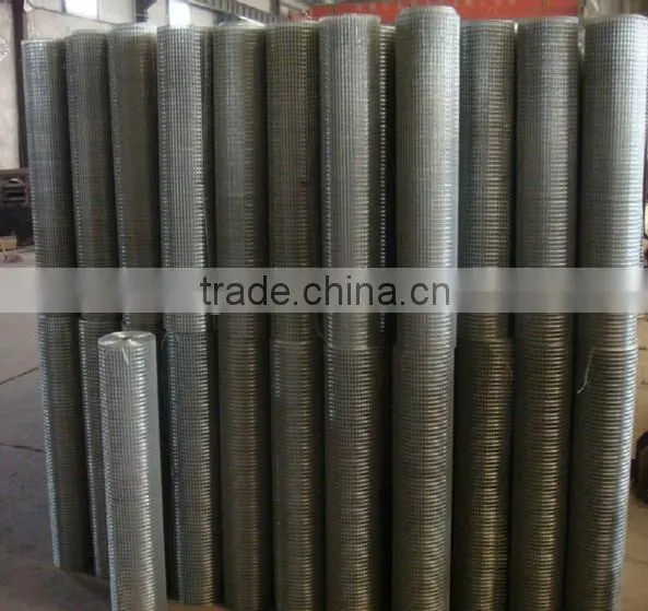 stainless steel square hole wire mesh/welded /Galvanized iron wire mesh