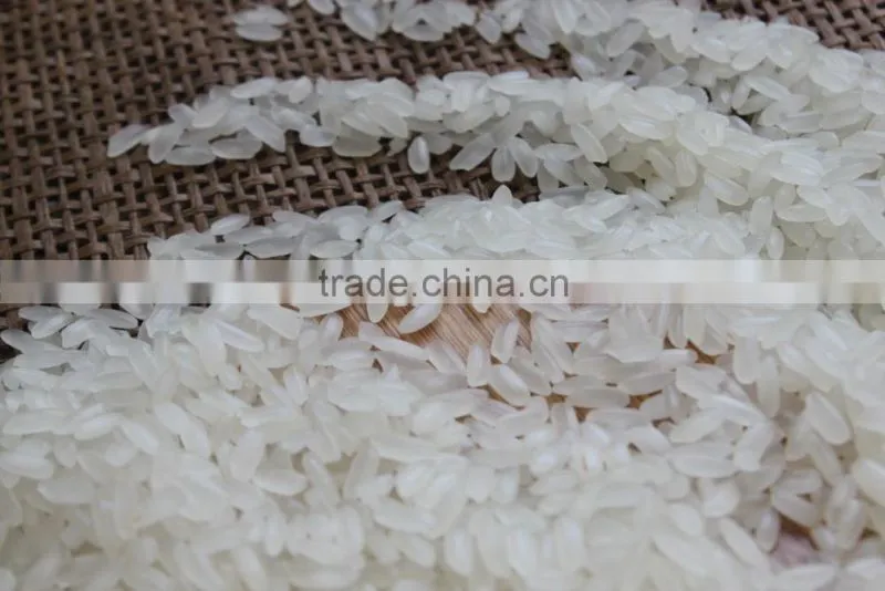 VIETNAM HOT-SELLING CALROSE RICE / CAMOLINO RICE