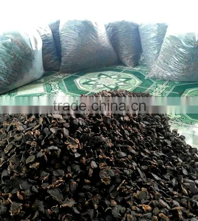 Dried Thai herbal Kaempferia Parviflora Black Ginger Root
