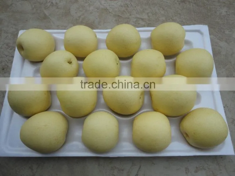 Nice difference specification of crown pear in china