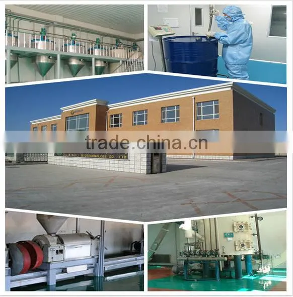 Manufacture high quality Pumpkin Seed Oil lower blood lipid