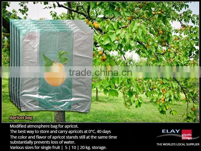 Dragon fruit bag