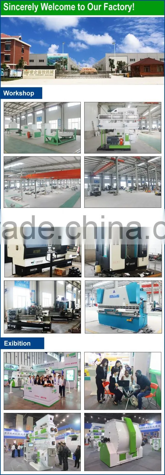 Supplied from 20 years' Factory Top Class Quality Siemens Motor 5 T/H Animal Poultry Chicken Feed Pellet Mills