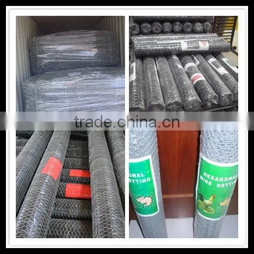 Hot sales twist hexagonal wire meshes