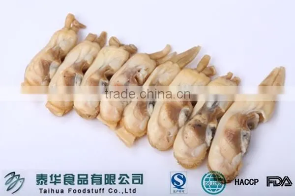 Whole Round Frozen Razor Clam Shellfish with Shell Chinese Supplier