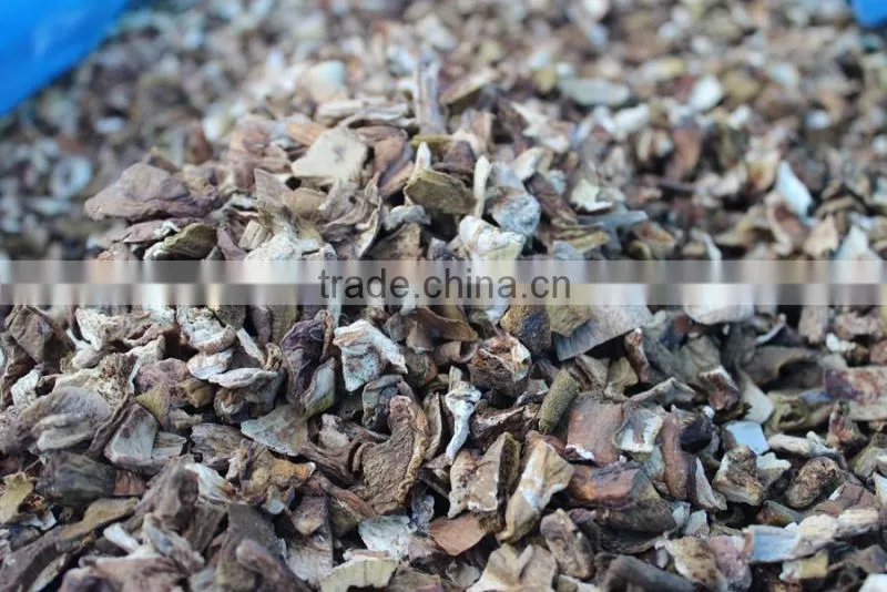 Dried porcini mushroom fresh mushroom farm
