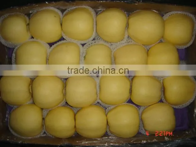 quality golden delicious apple