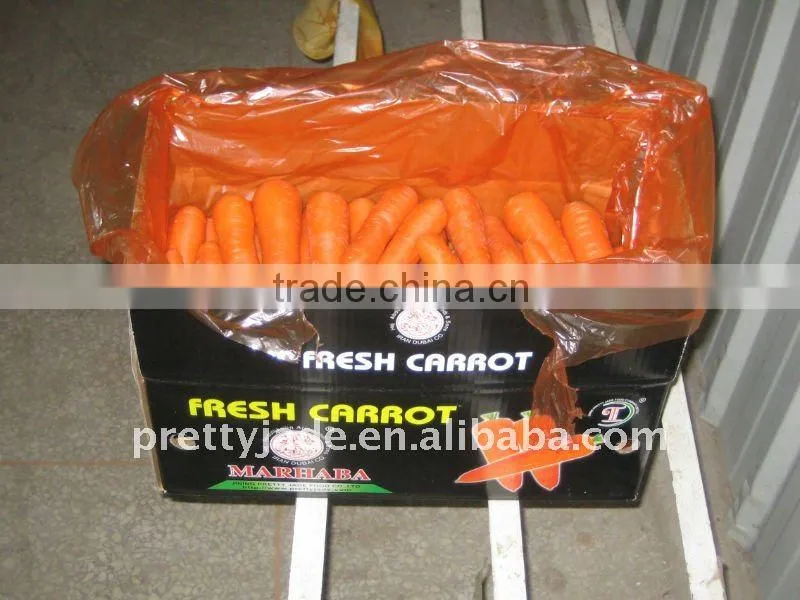 fresh red carrot