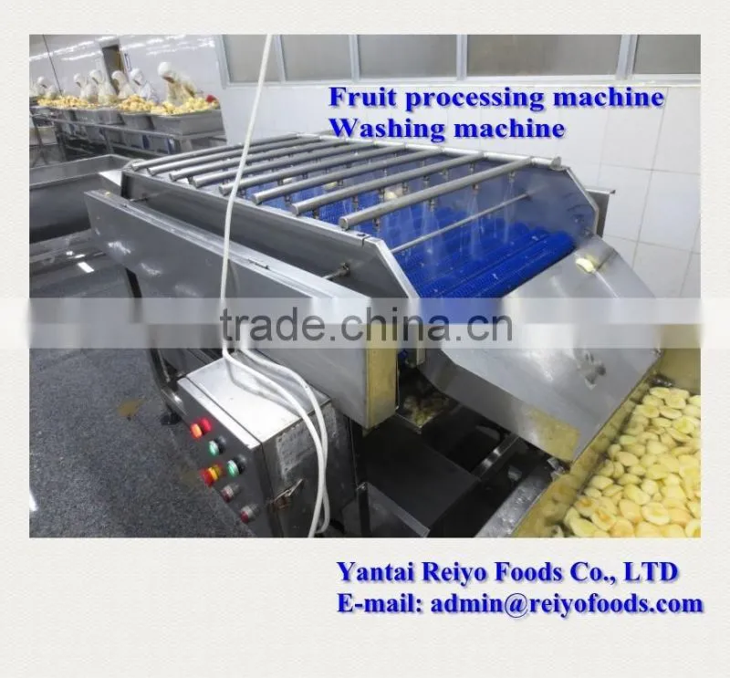 fruits and vegetables cleaning machine