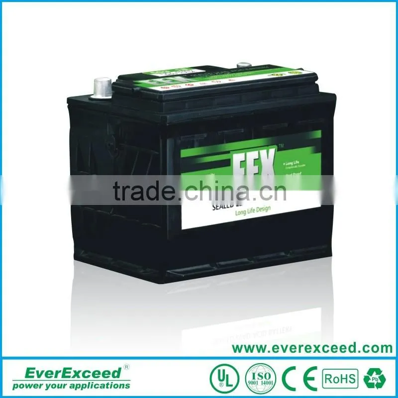 EverExceed high quality golf cart lithium battery for golf cart