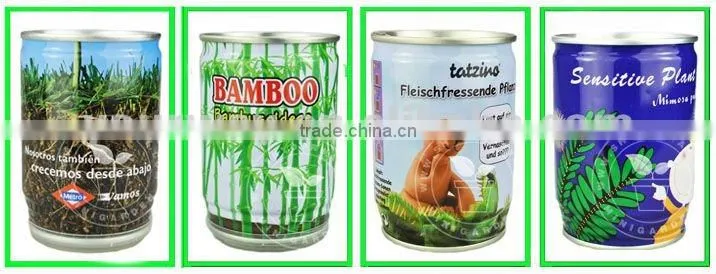 flower can,can flower,flower tin