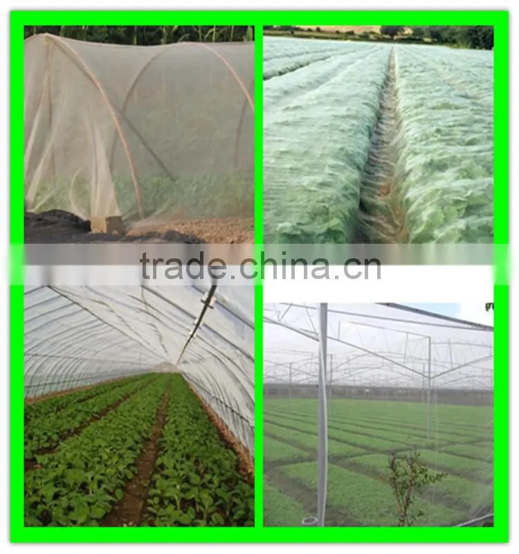 Suntex HDPE anti insect net heat resistant plastic mesh