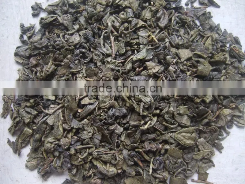 export tea from professional factory in China Gunpowder green Tea 9175