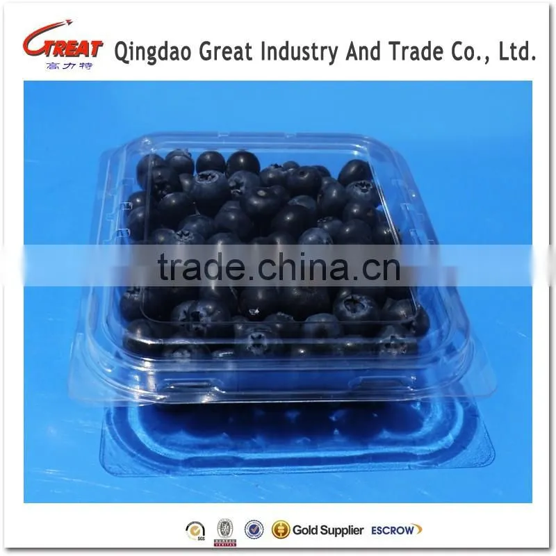 Small Square Clear Plastic Blueberry Container Clamshell