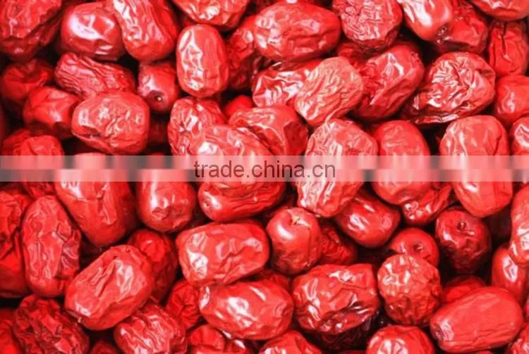 High quality hotsell organic dried red date jujube wholesale