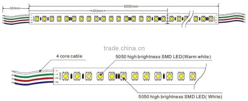DC24V RGBW Strip LED Light