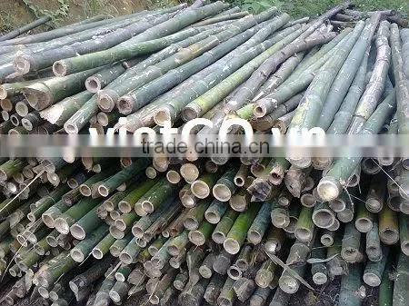 Bark fence with bamboo pole