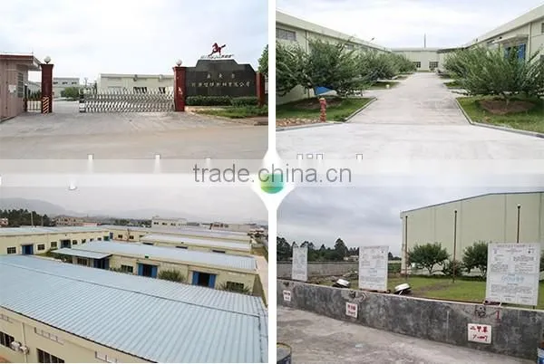 audited supplier japan car coating
