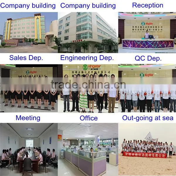 2015 shenzhen factory new arrivel high power 30w led down light with high lumens