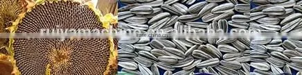 full automatic sunflower seeds dehulling and separating machine/sunflower seeds dehuller machine 0086-15981835029