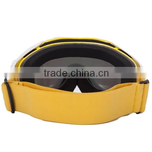 REVO Custom Ski Goggle
