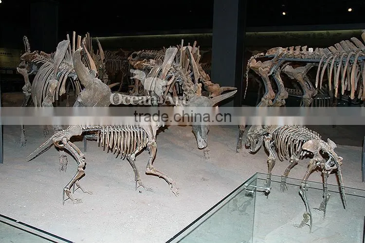 Theme park Bison fossil