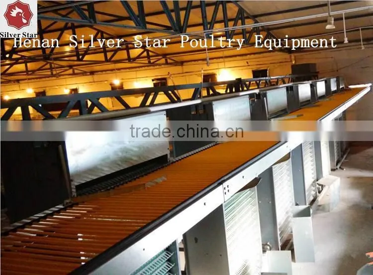 36 50 Stainless Fan Blade Tunnel Ventilation Fans