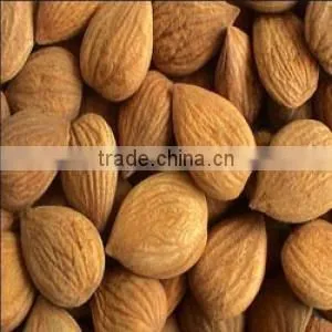 natrual almond from china