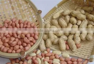 roasted peanut in shell for recipes