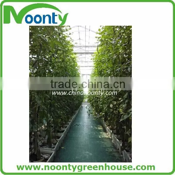 Hydroponics Greenhouse
