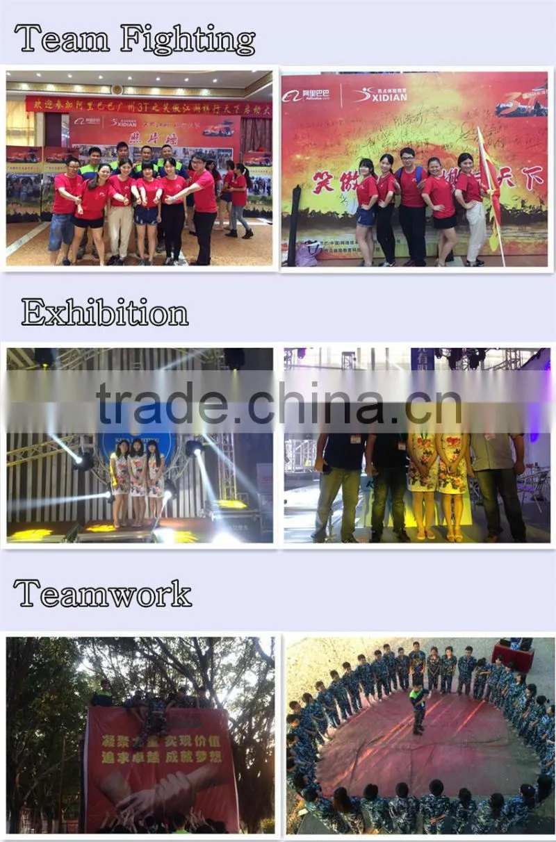 Outdoor ILDA 3w RGB laser light with SD , animation laser/outdoor christmas laser light for trees