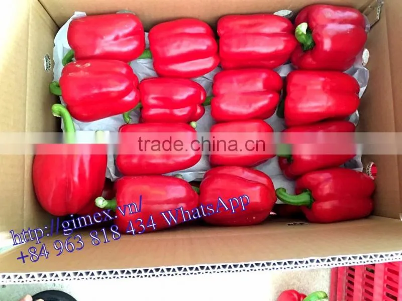 FRESH SWEET BELL PEPPER