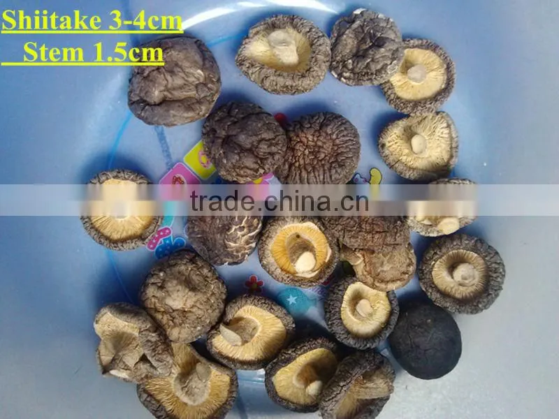 whole dried shiitake mushroom price 3-4cm