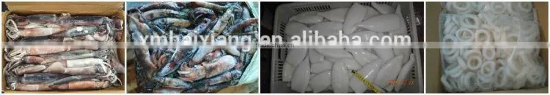 Bulk seasoned dried squid for sale