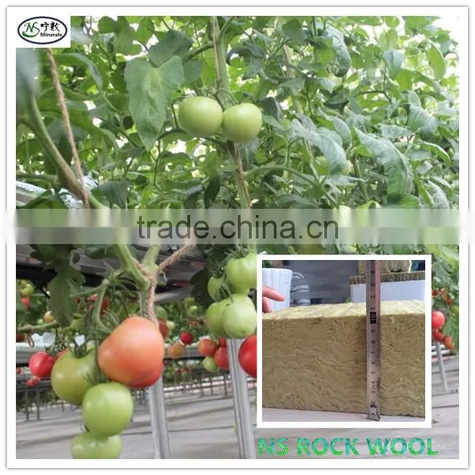 rockwool cubes for germination /plant propagation